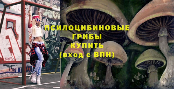мдпв Гусев