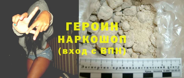 мдпв Гусев
