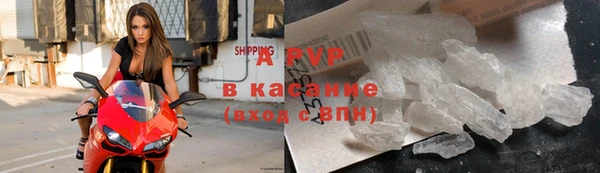 ПСИЛОЦИБИНОВЫЕ ГРИБЫ Гусиноозёрск