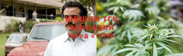 мдпв Гусев