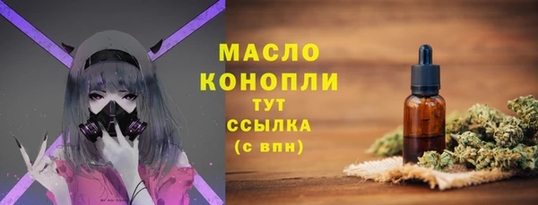 мдпв Гусев