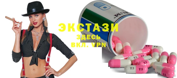мдпв Гусев