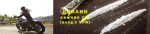 мдпв Гусев
