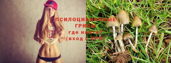 прущая мука Гусь-Хрустальный