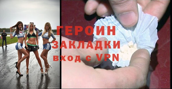 мдпв Гусев