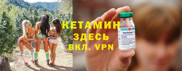 мдпв Гусев