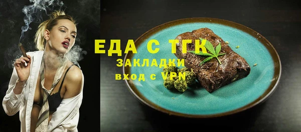мдпв Гусев