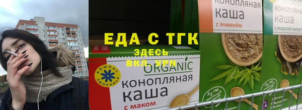 мдпв Гусев