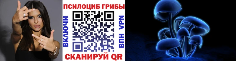 Галлюциногенные грибы Psilocybine cubensis Ревда