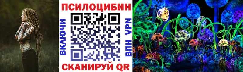 Купить где  Ревда  Галлюциногенные грибы Psilocybine cubensis 